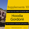 TOP 10 HOODIA GORDONII SUPPLEMENTS