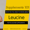 TOP 10 LEUCINE SUPPLEMENTS