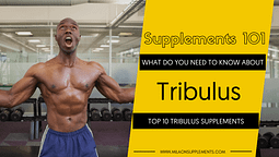 TOP 10 TRIBULUS SUPPLEMENTS