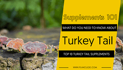 TOP 10 TURKEY TAIL SUPPLEMENTS