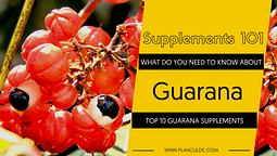 TOP 10 GUARANA SUPPLEMENTS