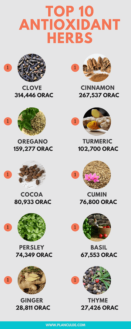 Top 10 Antioxidant Foods And Herbs