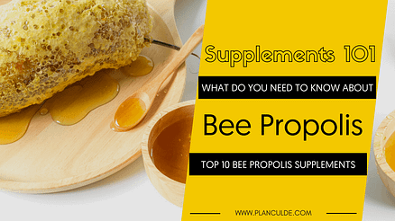 TOP 10 BEE PROPOLIS SUPPLEMENTS
