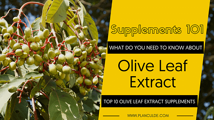 TOP 10 OLIVE LEAF EXTRACT SUPPLEMENTS