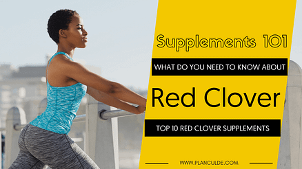 TOP 10 RED CLOVER SUPPLEMENTS
