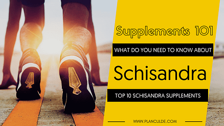 TOP 10 SCHISANDRA SUPPLEMENTS
