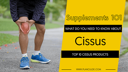 TOP 10 CISSUS PRODUCTS