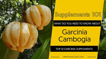 TOP 10 GARCINIA CAMBOGIA SUPPLEMENTS