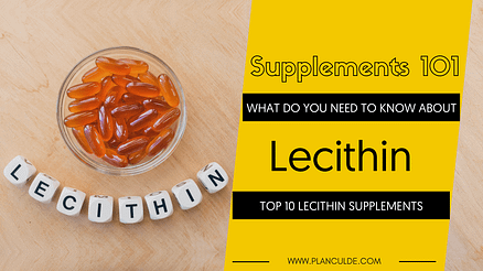 TOP 10 LECITHIN SUPPLEMENTS