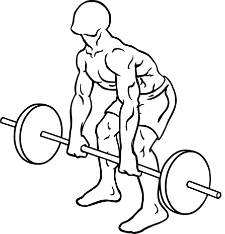 Bent over barbell row