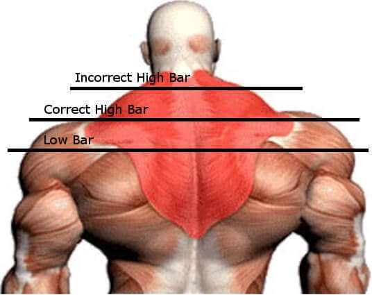 High Bar vs. Low Bar Squat - bar placement