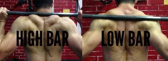 High Bar vs. Low Bar Squat for Bodybuilding