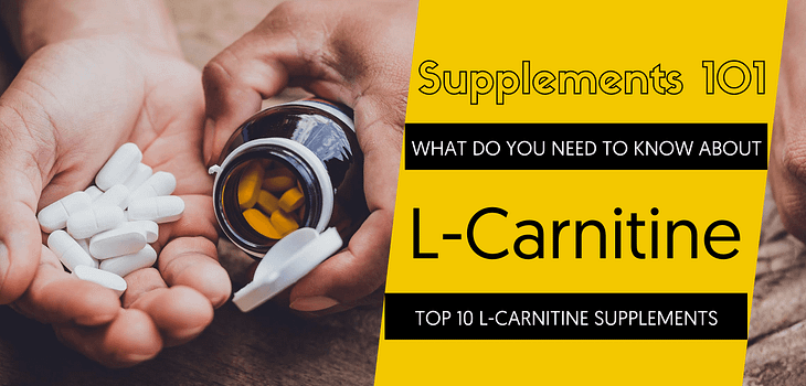 TOP 10 L-CARNITINE SUPPLEMENTS