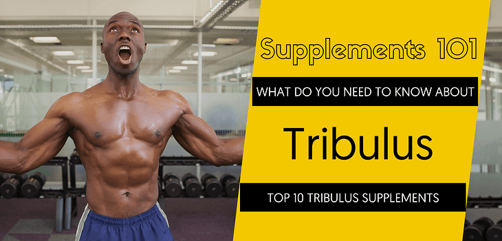 TOP 10 TRIBULUS SUPPLEMENTS