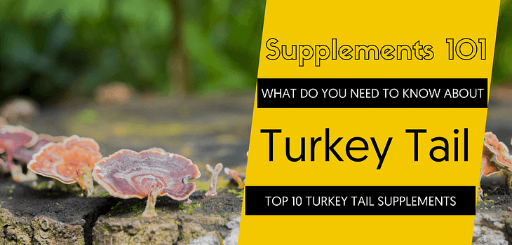 TOP 10 TURKEY TAIL SUPPLEMENTS