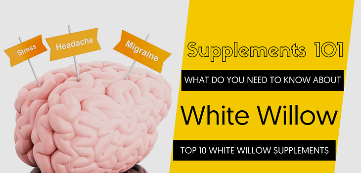 TOP 10 WHITE WILLOW SUPPLEMENTS