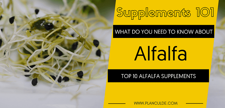 TOP 10 ALFALFA SUPPLEMENTS