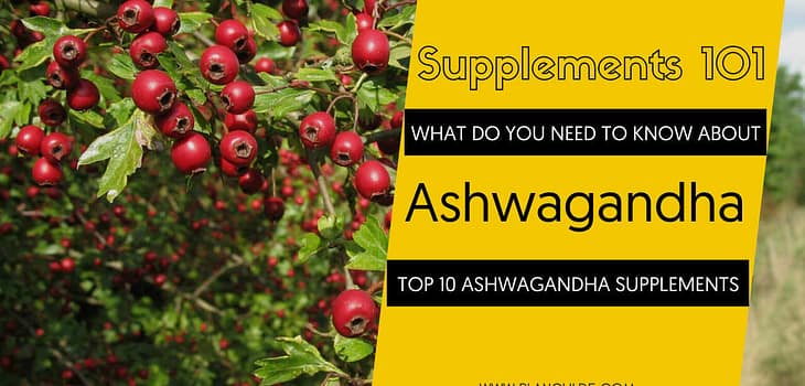 TOP 10 ASHWAGANDHA SUPPLEMENTS