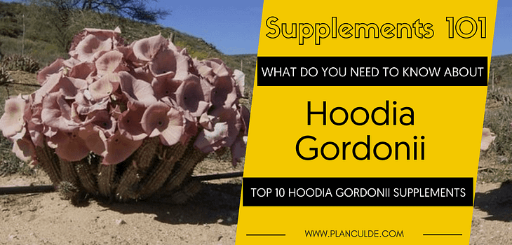 TOP 10 HOODIA GORDONII SUPPLEMENTS