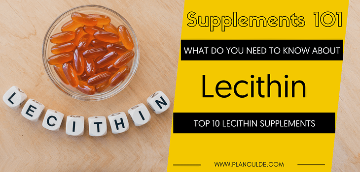 TOP 10 LECITHIN SUPPLEMENTS