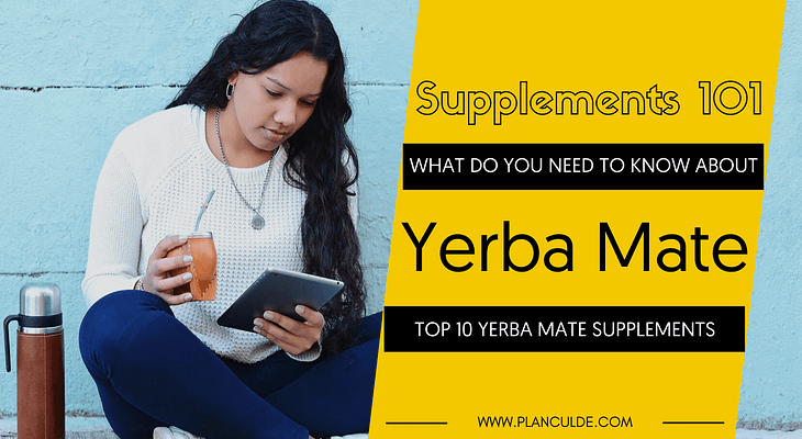 TOP 10 YERBA MATE SUPPLEMENTS