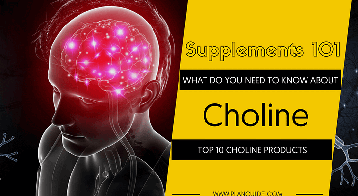 TOP 10 CHOLINE PRODUCTS