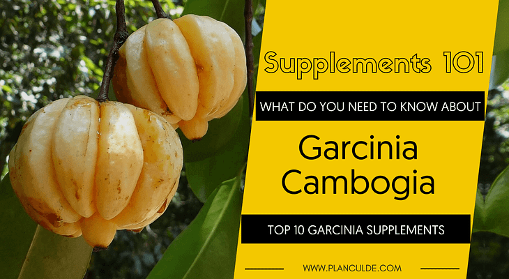 TOP 10 GARCINIA CAMBOGIA SUPPLEMENTS