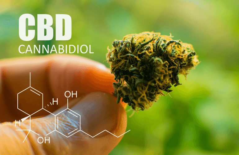 CBD Oil for Recovery